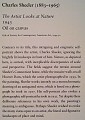 Chicago Art Museum 2010 0714